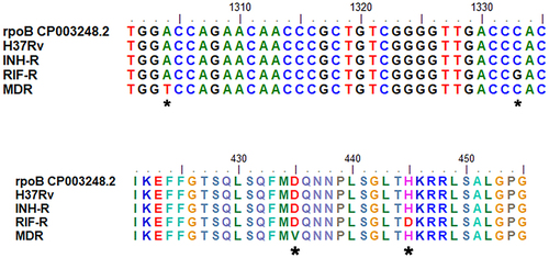 Figure 6 Sequence alignment of rpoB for MTB with different drug resistance profiles. *In the upper part indicates the location of the nucleotide mutation and *in the lower part indicates amino acid substitutions of MDR and RIF-R.