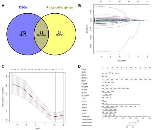 Figure 2 Lasso Cox regression model for signature gene filtering. (A) Overlapping genes between differentially expressed genes and 87 prognostic genes. (B) Trajectory trace for each independent variable. (C) The 95% confidence interval at different levels of lambda. (D) Nomogram plot of 15 selected genes for predicting the survival rate of LIHC.