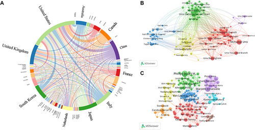 Figure 2 Analysis of contribution and cooperation. (A) Chord diagram of the national publications and cooperation; (B) Cooperation network map between institutions; (C) Cooperation network map between authors.