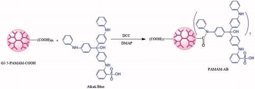 Figure 1. Schematic representation of synthesis of PAMAM-AB conjugates.