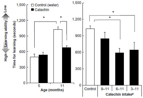 Figure 3 Effect of green tea catechins on learning ability in SAMP10 mice.