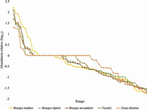 Figura 7. Curvas de rango-abundancia de las especies según las cinco coberturas vegetales estudiadas, en donde la cobertura vegetal con el mayor número de individuos y especies fue la del bosque maduro (BM), y la de menor es áreas abiertas (HA)