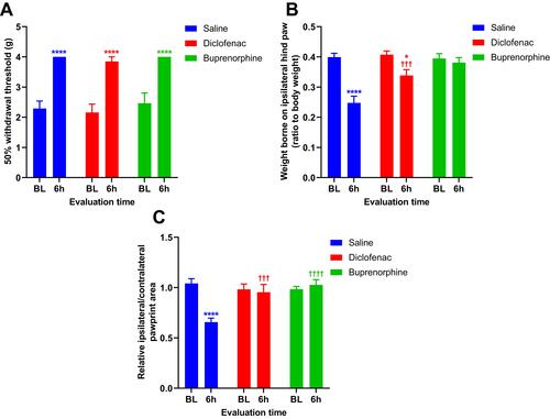 Figure 4 Effects of analgesics on pain-like behaviors after deep incision.