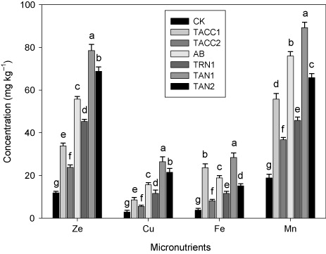 Figure 15. Comparative effectiveness of ACC-deaminase and/or nitrogen-fixing rhizobacteria on micronutrient contents (Zn, Cu, Fe, and Mn) in shoot of tomato. Different letters (a–g) on bars indicate significant differences of mean values for seedling fresh weight. Bars represent standard errors.CK, control; AB, Azotobacter