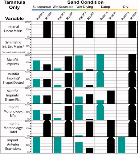 Figure 13. Binary variable trends for tarantula trackways split by five sand conditions (all slopes included in each of the five conditions, so variability due to slope is accounted for). Shown are the percentages of analyzed trackway segments (ATS) in a condition that are present and absent. Note that for “Symmetric Int. Lin. Marks” (= LM Asym), ATS without internal marks were not included in calculations of percent values. Tapering added to bars near 100% for visual clarity.