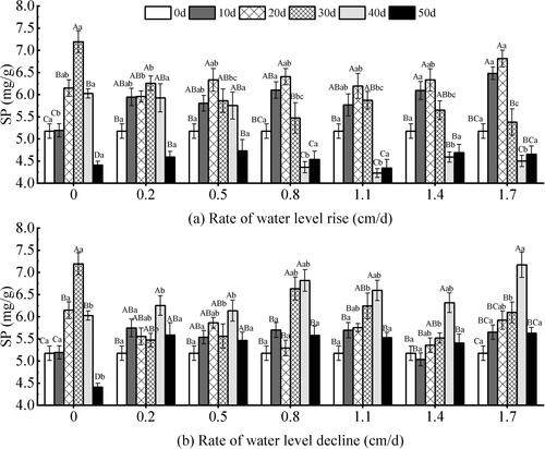 Figure 12. Effect of water level changes on soluble protein (SP) content of V. natans. Different capital letters indicate the difference between the same change rate and different test times, and different lowercase letters indicate the difference between the same test time and different change rates.