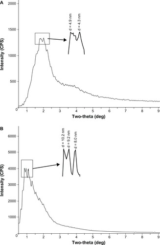 Figure 4 The SAXS images of CS-SA/SiO2/DOX-8 (A) and CS-SA/SiO2/DOX-16 (B).Abbreviations: CS, chitosan; DOX, doxorubicin; SA, stearic acid; SAXS, small-angle X-ray scattering.