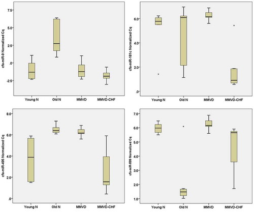 Figure 4. Expression levels of miR-9, miR-181c, miR-495 and miR-599. Box-plot comparing ex-miRNA expression level as measured with reverse transcription quantitative polymerase chain reaction. A high normalised Cq value indicates low expression level, whereas a low normalised Cq value indicates a high expression level. Asterisks shows outlier data points. Young N = young normal dogs, Old N = old normal dogs.