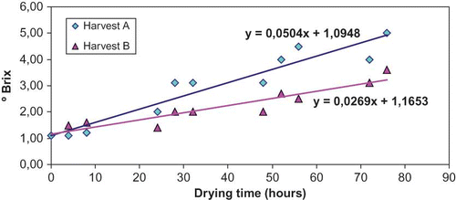 FIGURE 3 Variation of °Brix during the drying cycle of pears in the solar stove, for two harvest dates (color figure available online).