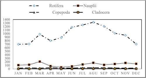 Figure 3. Monthly distribution of zooplankton groups abundance (ind. L−1) in Lake Shala from January to December 2018.
