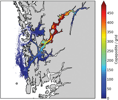 Figure 9. Aggregated density of salmon lice copepodids from a source in the inner part of the Hardangerfjord (red diamond) for the period 2 May to 9 June 2007.