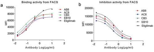 Figure 8. The binding activity (EC50) and blocking activity (IC50) of four whole human antihuman TIGIT mAbs were determined by FACS method.(a) The fully human anti-TIGIT mAb recognizes the TIGIT protein on the cell surface. (b) The fully human antihuman TIGIT mAb is capable of blocking the interaction of the TIGIT protein on the cell surface with rhCD155-cFc. Black curve indicates the binding activity of positive control antibody. MFI indicates Median Fluorescence Intensity.