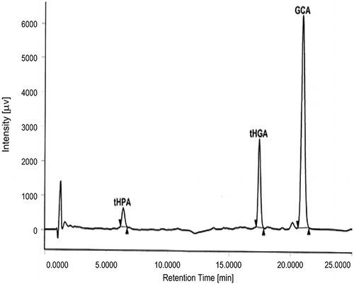 Figure 2 HPLC chromatogram of marker compounds in 1 mg/mL ethanolic leaf extract of M. ptelefolia (tHPA [RT: 6.25 min], tHGA [RT: 17.35 min], and GCA [RT: 20.84 min]). RT = retention time. (Description: Under the optimized HPLC conditions for the ethanolic M. ptelefolia leaf extract, the best resolution of the three marker components: tHPA, tHGA, and GCA in 1 mg/mL of crude extract was obtained.)