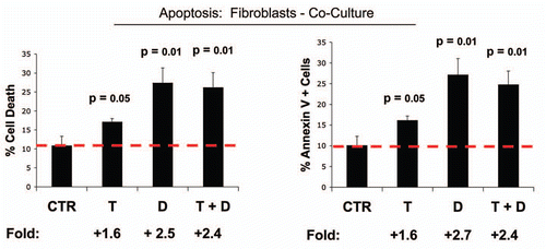 Figure 5 Dasatinib preferentially affects fibroblasts in co-culture. MCF7 breast cancer cells were co-cultured with fibroblasts, and then subjected to drug treatment with Tamoxifen (T; 12 µM) or Dasatinib (D; 2.5 nM), individually or in combination. Cell death in fibroblasts was quantitated by FACS analysis via Annexin-V and PI staining. Note that Dasatinib (D) preferentially affects fibroblasts in co-culture, while Tamoxifen (T) has only minor effects. In (A), “cell death” represents the percentage of cells that were Annexin-V(+) and/or PI(+), the sum of all three quadrants. In (B), only the Annexin-V(+) positivity is shown, yielding similar results. CTRL (control), represents co-cultured fibroblasts, treated with vehicle alone.