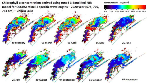 Figure 12. Application of OLCI wavelengths tuned 3-band red-NIR algorithm to 10 OLCI/Sentinel-3 scenes in 2020 to estimate Chlorophyll-a concentration.