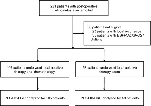 Figure 1 Scheme of this study.Abbreviations: ORR, objective response rate; OS, overall survival; PFS, progression-free survival.