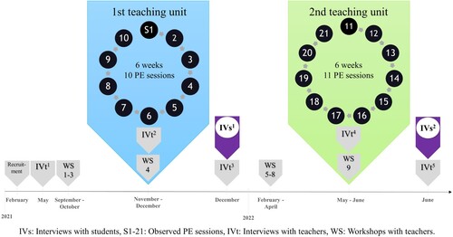 Figure 1. Timeline of the study.