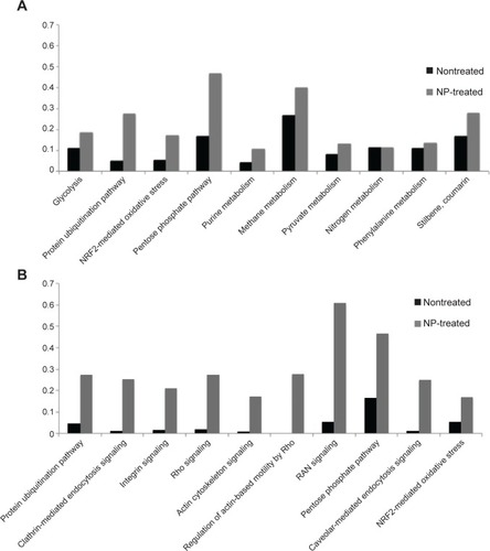 Figure 5 Functional annotation of RBC proteins identified by nano-LC–MS/MS.Notes: Top ten of significant CPs for (A) untreated and (B) NP-treated RBC extract. For each CP, the bars show the ratio between the number of identified proteins classified in that pathway and the total number of proteins referenced in this pathway by the software for untreated (black bar) and treated RBC extract (gray bar).Abbreviations: RBC, red blood cell; LC–MS/MS, liquid chromatography–tandem mass spectrometry; CPs, canonical pathways; NP, nanoparticle.