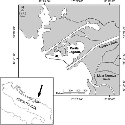 FIGURE 1. Map of the study area, the Parila Lagoon (Neretva Estuary, Adriatic Sea, Croatia), showing the sampling station (black dot).