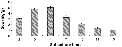 Fig. 4. Influence of passaging on 20E content in suspension culture.