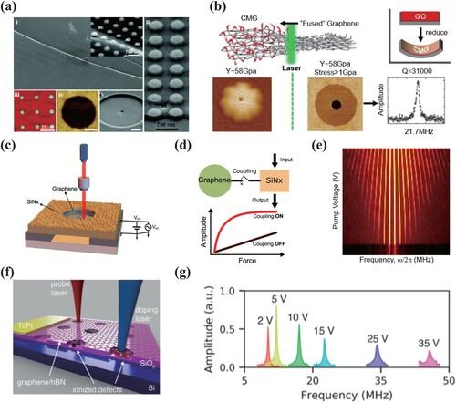 Figure 8. Modifications and integrations of graphene-based NEMS resonators. (a) rGO films on pre-patterned substrates. SEM images show (i) 20 nm and (ii) 4 nm thick rGO films suspended on Si pillars beds. (iii) Optical image of 3 × 3 rGO drum arrays. (iv) AFM height image of an intact drum resonator. The suspended film is approximately 10 nm below the top SiO2 surface. (v) SEM image of a drum resonator milled with a micro-hole [Citation129]. (b) Mechanical engineering of ultrathin CMG films through chemical modifications (stiffness, strength, density, and built-in stress) [Citation130]. (c) Schematic of a graphene-SiNx hybrid resonator [Citation132]. (d) Giant nonlinear response of graphene-SiNx modes after coupling graphene and SiNx resonators. (e) Coherent frequency combs of new frequency components arisen from both graphene and SiNx hybrid modes above the threshold of pump voltage. (f) Illustration of the photo-tuning effect in 2D NEMS resonators [Citation134]. (g) Resonance spectra after partial light doping at different Veff. The amplitude changes due to different conduction and driving efficiencies.