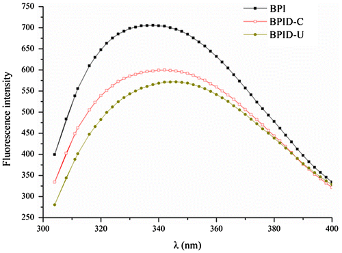 Fig. 2. The intrinsic emission fluorescence spectra of BPI and BPI–dextran conjugates.