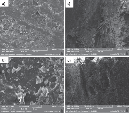 Figure 11. SEM images of composite (a,b) Fishtail palm 500 µm, 20 µm, (c) Sansevieria 500 µm, (d) Broom grass 500 µm.