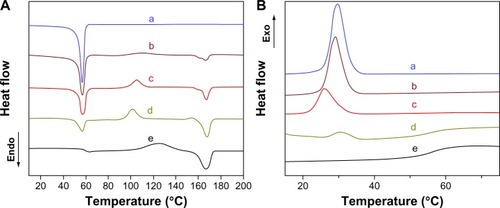 Figure 4 Differential scanning calorimetry curves of polylactide/poly(ε-caprolactone)-poly(ethylene glycol)-poly(ε-caprolactone) (PCEC) hybrid fibrous scaffolds with 100 wt% (a), 75 wt% (b), 50 wt% (c), 25 wt% (d), and 0 wt% (e) PCEC concentrations.Notes: (A) Heating process. (B) Cooling process.Abbreviations: Endo, endothermal; Exo, exothermic.