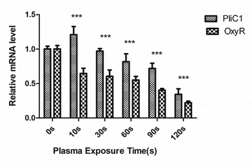 Figure 13. Expression of PliC1 and OxyR in bacteria after plasma-activated liquid (PAL) treatment for different periods (F = 12.57, P = 0.002)
