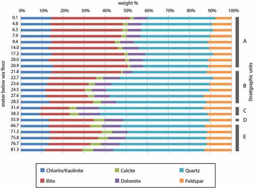 Figure 6. Results from Rietveld refinement (in wt%) of the mineral assemblage in MTW01.