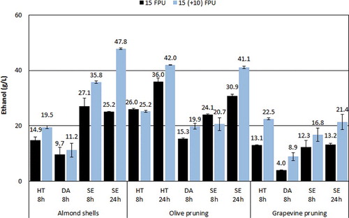 Figure 5. Ethanol concentration achieved by 8 and 24 h prehydrolysis and fermentation of almond shells, olive pruning and vine pruning. Dark (black) columns represent experiments without addition of extra enzyme, and light (blue) columns experiments where 10 FPU/g was added to the fermentation broth.