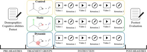 Figure 1. Overview of the research design, measures and procedure. No highlighting is shown in the control group, functional groups are colour-coded in the static group, the translucent red dot moves synchronously to the explanation in the dynamic group.