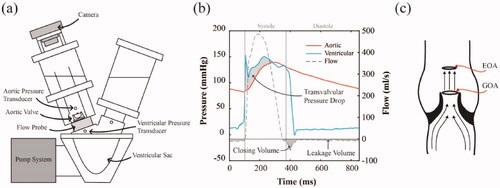Figure 2. (a) Schematic of Vivitro Pulse Duplicator with pressure transducers and a flow probe which was used to carry out in vitro hydrodynamic testing, (b) a typical diagram of average flow measurements, aortic and ventricular pressures measured over 10 cardiac cycles and (c) a schematic showing the effective orifice area (EOA) as a measure of the downstream jet from the aortic orifice, where geometric orifice area (GOA) is measured as the opening area of the leaflets.