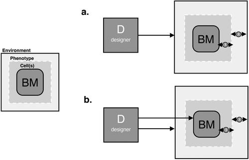 Figure 4. Schema 2 representing the designers engagement with (a) the environment of the biological media to influence the outcoming and (b) a combination of the biological media itself (through genetic manipulation) and the environment to influence the outcoming.