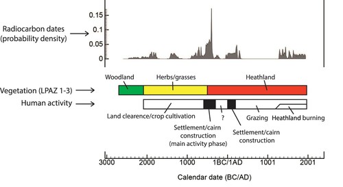 Figure 8. Distribution of all radiocarbon dates from the site using summed probability function in OxCal (Bronk Ramsey Citation2017), compared to the overall interpretation of main vegetation and human activity phases at Øvre Øksnevad.