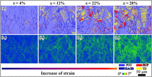 Figure 3. (a1–a4) EBSD phase and GBs maps showing microstructural evolution at different strain levels. (b1–b4) Corresponding KAM maps of the FCC and HCP grains.