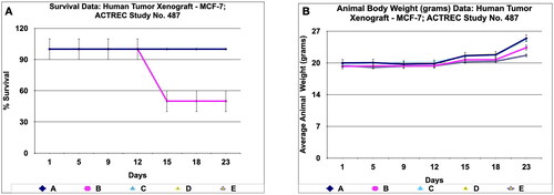 Figure 11. Survival and animal body weight (grams) data of human tumor Xenograft - MCF-7 mice model treated with Prakasine for 23 days. A : All the groups from A -E except B , the animals survival rate is 100% in the study duration of 23days. B : The Prakasine treated groups D and E is slightly having more weight gain compared to A, B and C groups indicates the efficacy of the Prakasine in the study duration of 23 days.