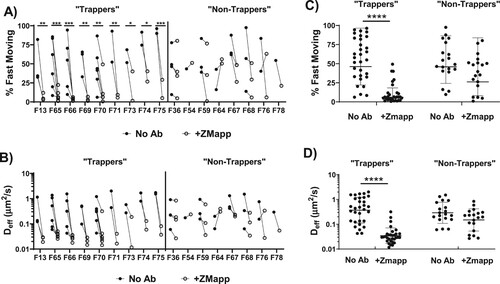 Figure 2. Diffusion of Ebola VLPs in pH-neutralized CVM that is untreated or treated with ZMapp, segregated by whether ZMapp induced a statistically significant reduction in the fast-moving populations of Ebola VLPs in CVM from the same donor. (A) Fraction of fast-moving virus (average 〈Deff〉 ≥ 0.347 µm2/s, capable of crossing a 50 µm mucus barrier within one hour in each donor with and without ZMapp treatment. Statistical difference is determined by two-way ANOVA followed by post-hoc uncorrected Fisher’s LSD test. (B) Ensemble-averaged geometric Deff at a timescale of 0.2667 s for Ebola VLPs in untreated and ZMapp-treated CVM within the same donors. (C) Fraction of fast-moving virus in untreated or ZMapp-treated CVM samples separated by trapping status. Statistical difference is determined by one-way repeated measures ANOVA corrected by post-hoc Sidak test. Solid lines represent geometric mean and standard deviation. (D) Ensemble-averaged geometric Deff at a timescale of 0.2667 seconds for Ebola VLPs in untreated or ZMapp-treated CVM samples separated by trapping status. Solid lines represent geometric mean and standard deviation. Trapping samples are those from donors with a significant decrease in fast-moving particles before and after treatment with ZMapp. Statistical difference is determined by one-way repeated measures ANOVA corrected by post-hoc Sidak test (*p < 0.05, **p < 0.01, ***p < 0.001, ****p < 0.0001).