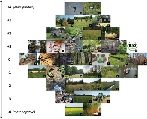 Figure 4. Model Q sort for the nature narrative. The ranking of the photos is based on the weighted averages of the Q sorts associated with the narratives. Photo credit: © 2022. Photo collage created by Tamara Schaal-Lagodzinski; Michael Petschick (photos #1, #4, #15, #20, #23, #26, #28, #33); Tamara Schaal-Lagodzinski (photos #2, #35, #37); Tom Noah (photos #3, #12); Stefan Fussan (photo #5); Biosphere Reserve Spreewald (#6, #9, #13 #19, #21, #25, #32, #34, #36, #16); Frank Kuba (photos #7, #30); Spreewald-Touristinformation Lübbenau e.V. (photo #8); Andreas Traube (photo #10); Nico Heitepriem (#11, #14, #17, #27, #22 [photo was cropped], #24, #29, #31); Andreas Göbel (photo #18). All Rights Reserved. Reproduced with permission and under Data Licence CC BY-SA 3.0 (photo #5).