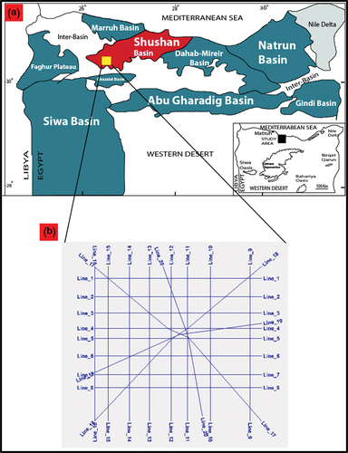 Figure 1. (a) location map of the Nader oil field at the southwestern part of Shushan basin (modified after Egyptian General Petroleum Corporation (EGPC) Citation1992) and (b) Base map for 20 seismic lines that uses in this study.