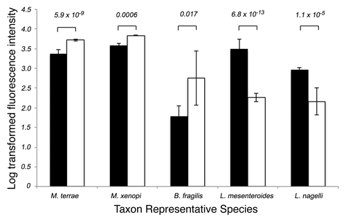 Figure 3. Specific taxa exhibiting Benjamini-Hochberg-corrected significant differences in relative abundance between CF (white bars) and wild type (black bars) mice.