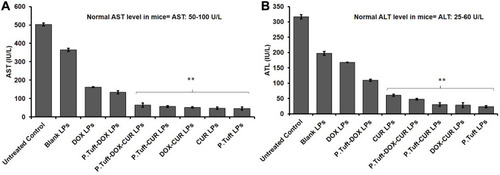 Figure 10 Assessment of liver toxicity in mice on treatment with different kinds of LPs.