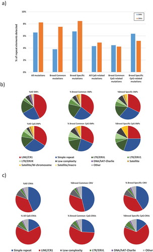 Figure 5. Relation of mutations found among domesticated breeds of chickens and RJF to repetitive elements. (a) summarized comparison between SNPs and CNVs. (b) relation of SNPs to repetitive elements. (c) relation of CNVs to repetitive elements.