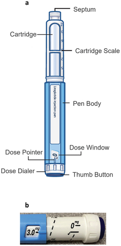 Figure 1. (a). Generic pen injector user interface. (b). Dose Set Knob on generic pen injector extends outward with rotation dose set knob and ‘mg’ marking inside the dose window.