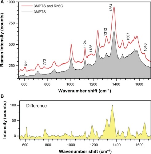 Figure 9 (A) Comparison of surface-enhanced Raman spectroscopy spectra from gold (Au)-nanoparticles (solution No 1) treated with mercaptosilane cross linker and with Rh6G. (B) The same sample showing peaks for 4.3 μM Rh6G after subtracting the mercaptosilane background.Abbreviations: 3MPTS, (3-mercaptopropyl) trimethoxysilane; Rh6G, rhodamine 6G.