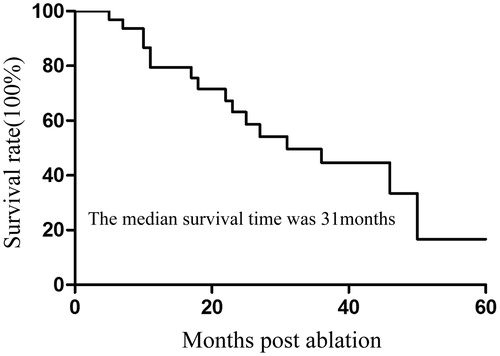 Figure 2. Kaplan–Meier estimates of the overall survival (OS) for 32 patients. The median survival time was 31 months (95% CI: 15.4–46.6).