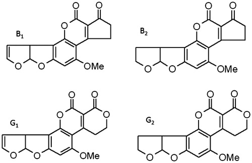 Figure 1. Chemical structures of the four tested aflatoxins (AF). Note that AFB2 and AFG2 are derivatives of AFB1 and AFG1, respectively. OMe = methoxy.