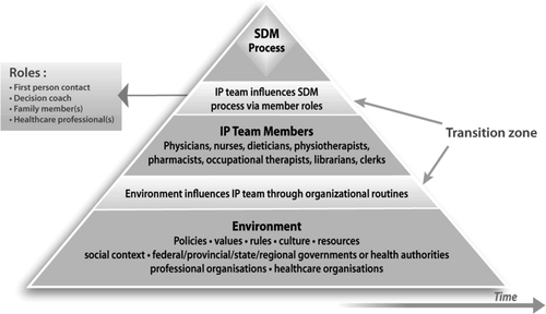 Figure 3.   IP-SDM model – healthcare system (meso and macro) levels representing the global influences in which the individual level is embedded.