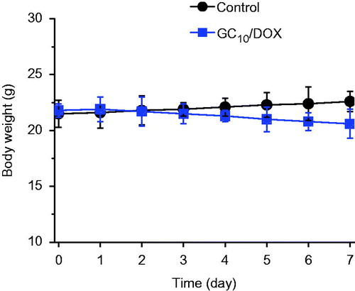 Figure 8. Body weight of control and GC10/DOX-treated mice. Error bars represent mean ± SD (n = 3); these experiments were repeated three times.