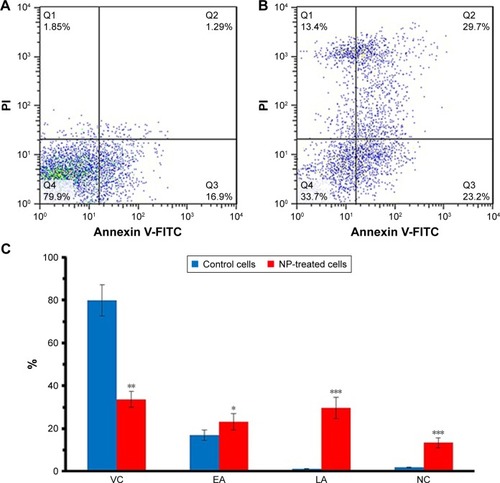 Figure 10 Lymphocyte cells were incubated with IC50 concentrations of NGOs for 24 hours and the induction of apoptosis in the absence (A) and presence of NGOs (B) was determined by flow cytometry. The quantitative analysis was plotted to show the population of VC, EA, LA, and NC cells (C).Note: *P<0.05, **P<0.01, and ***P<0.001 compared with the negative control sample.Abbreviations: VC, viable cells; EA, early apoptotic; LA, late apoptotic; NC, necrosis cells; NGO, nano graphene oxide; PI, propidium iodide; NP, nanoparticles.